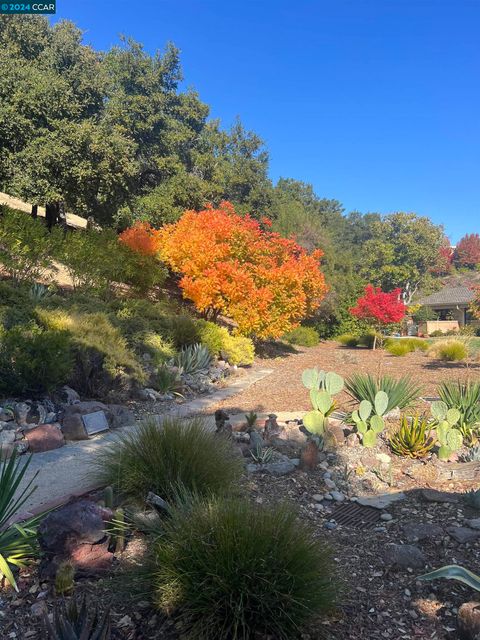 A home in Walnut Creek