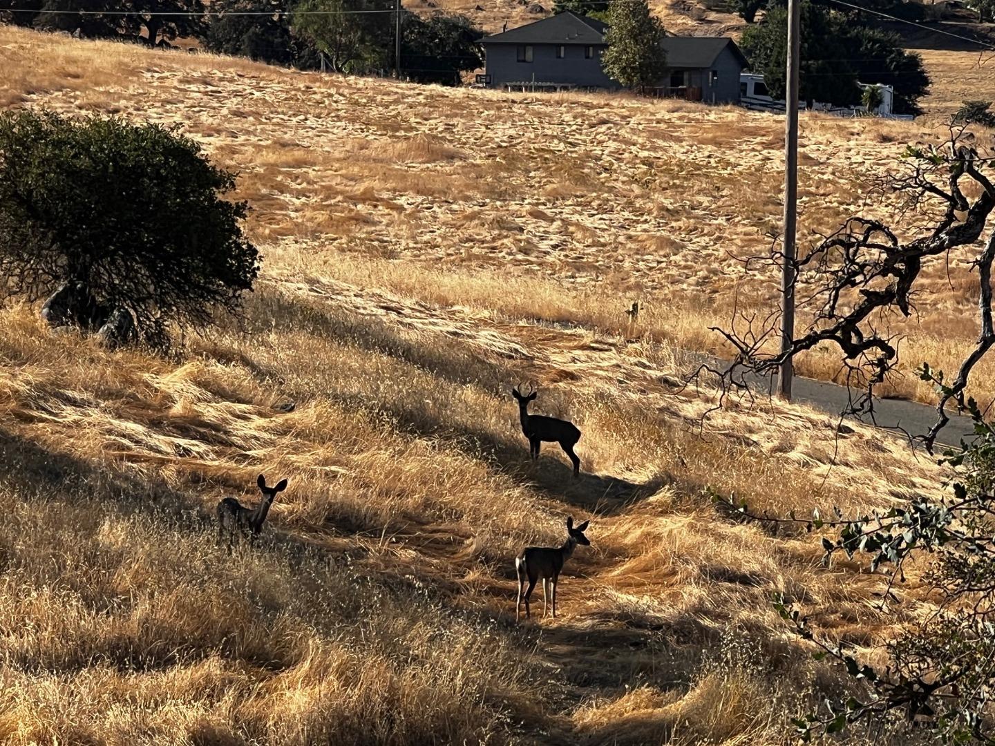 La Grange, California 95329, United States, 2 Bedrooms Bedrooms, ,2 BathroomsBathrooms,Residential,Active,39834