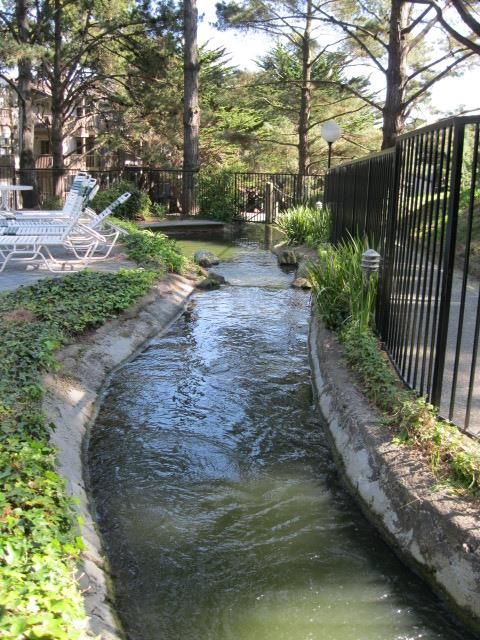 A home in Daly City