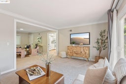 Living area with crown molding and carpet