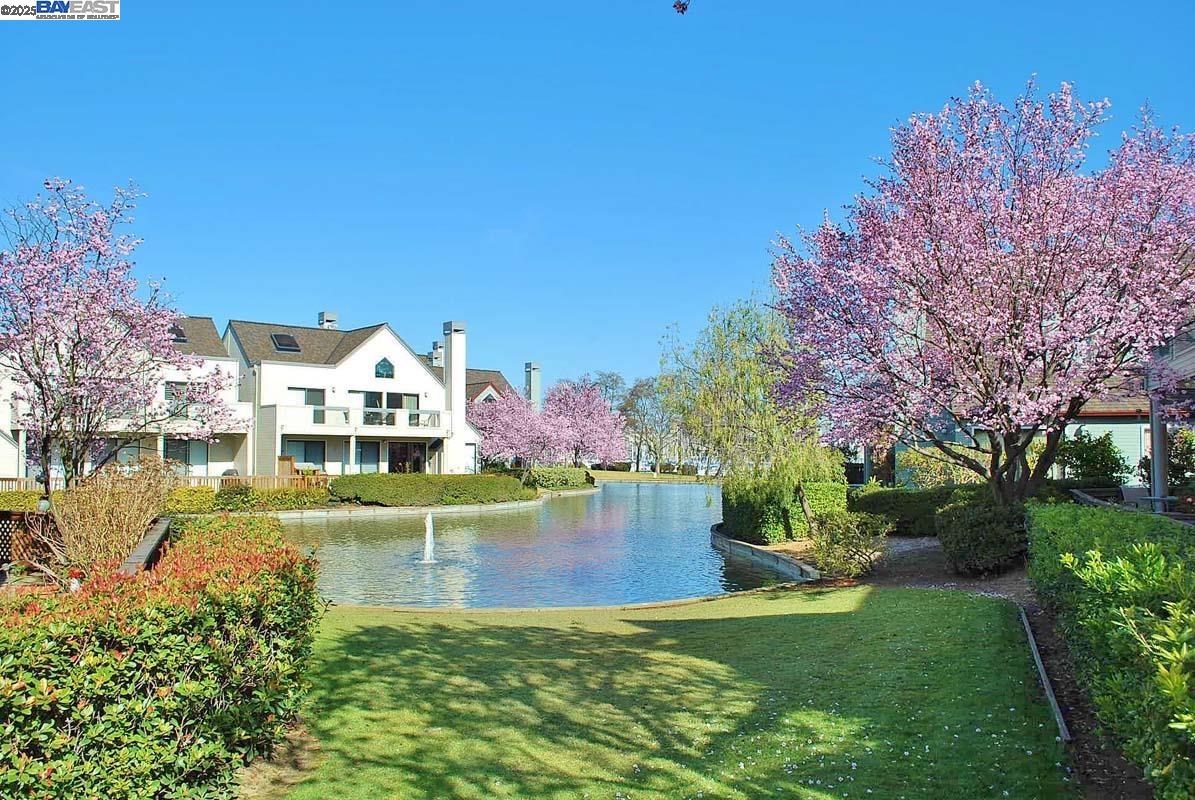 Alameda, California 94501, United States, 2 Bedrooms Bedrooms, ,2 BathroomsBathrooms,Residential,Active,194807