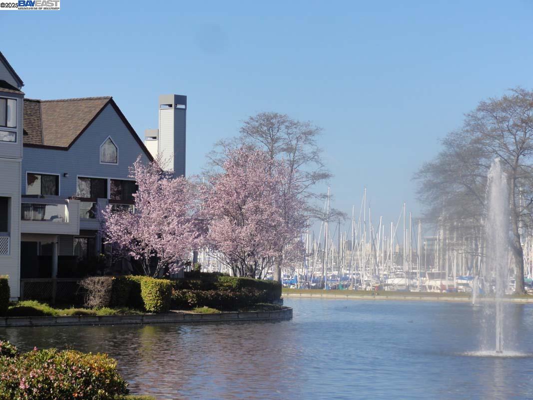 Alameda, California 94501, United States, 2 Bedrooms Bedrooms, ,2 BathroomsBathrooms,Residential,Active,194807