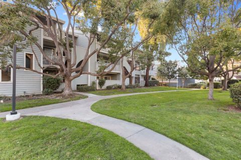 A home in Fremont