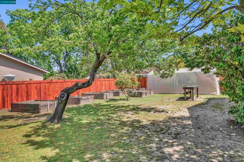 A home in Walnut Creek