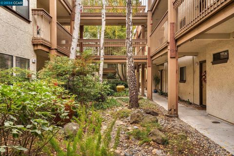 A home in Walnut Creek