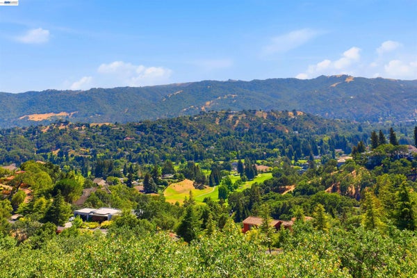 506 OAKSHIRE PL, ALAMO, CA 94507 - Image f03457ebc5445def7e1ed6fa4dcd8bc2/2658986036