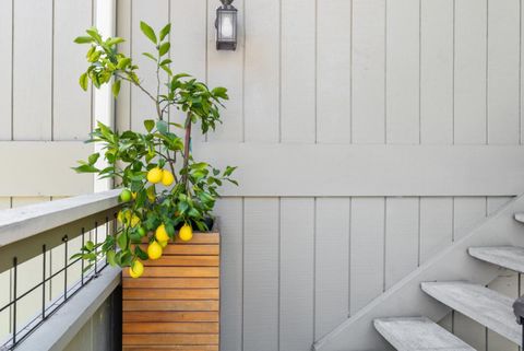 A home in Scotts Valley