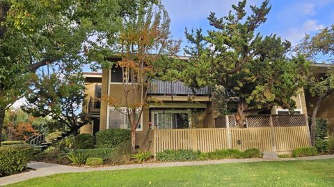 A home in Los Gatos