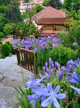 Listing photo 9