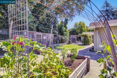 A home in Walnut Creek