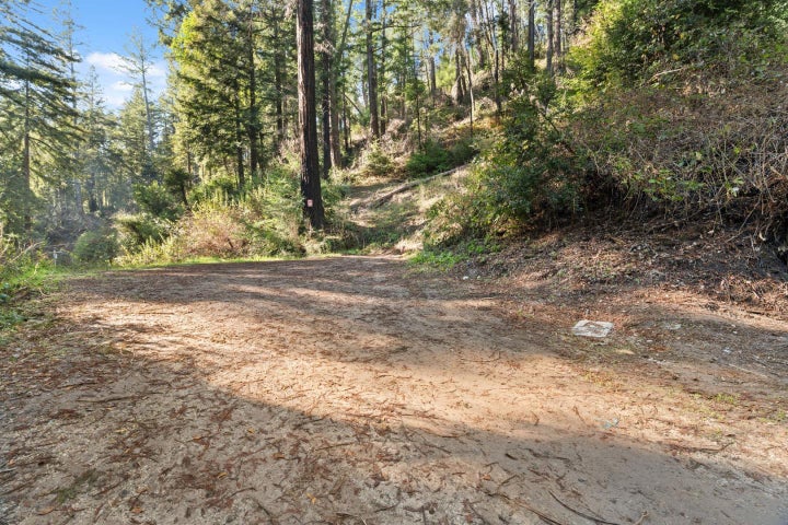 Photo 1 of 22 — 160 Starview Place, Boulder Creek, CA 95006