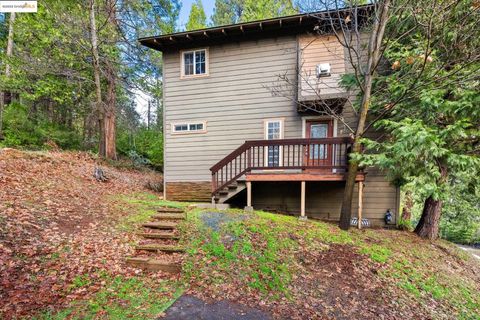 Photo of 22464 N Tuolumne Rd, Twain Harte, CA 95383 (MLS # 41119719)