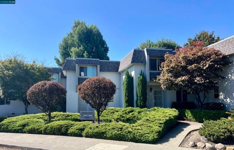 A home in Castro Valley