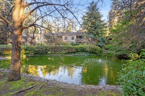 A home in Mountain View