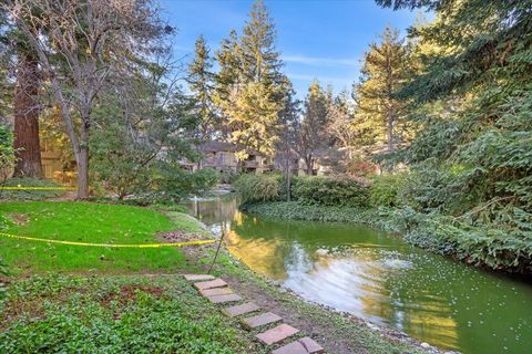 A home in Mountain View