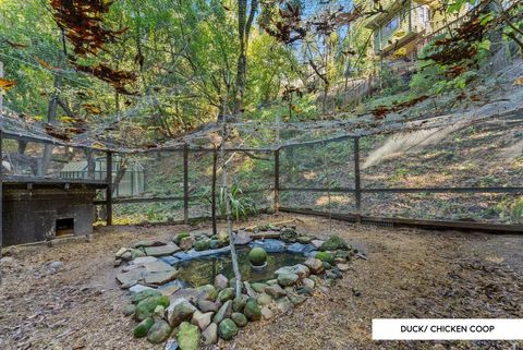 A home in Boulder Creek