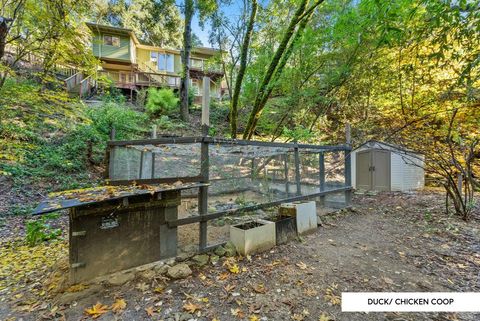 A home in Boulder Creek