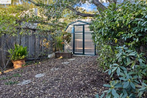 A home in Berkeley