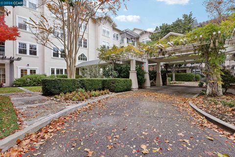 A home in Walnut Creek