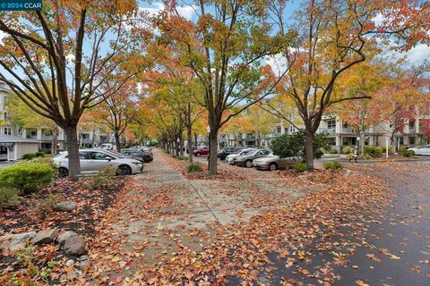 A home in Walnut Creek