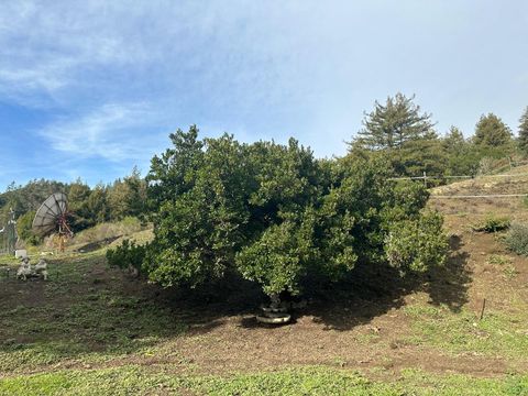 A home in Corralitos (watsonville)