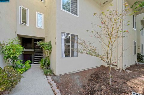 A home in Walnut Creek