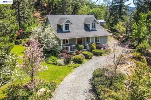 Photo of 2051 Sky Ranch Rd, Junction City, CA 96048 (MLS # 41132620)