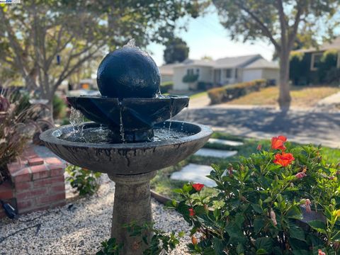 A home in Castro Valley