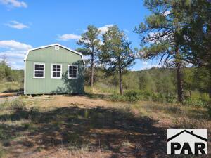 13115 SILVER SPRUCE CIR, WESTON, CO 81091 - Image 18b57b0d1906d3de615bd1eec8d669ea/437758685