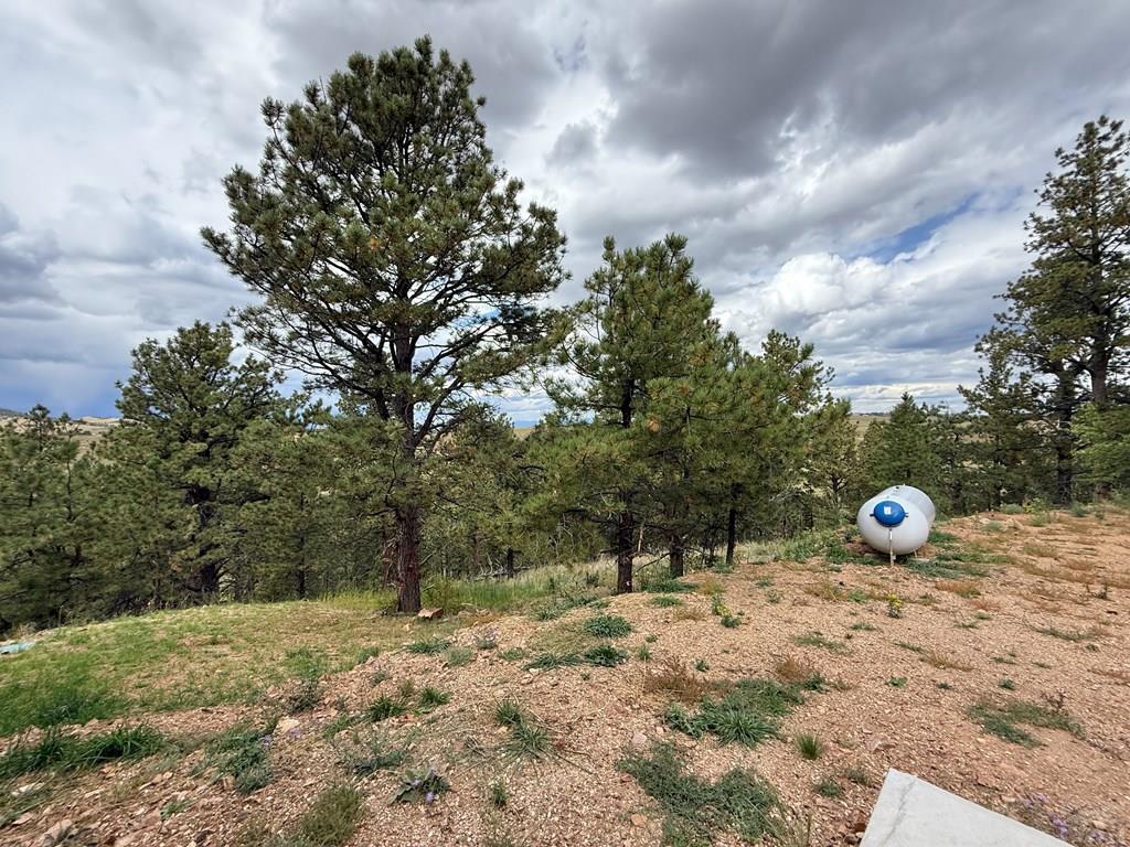 741 Junkins Loop - Photo 3