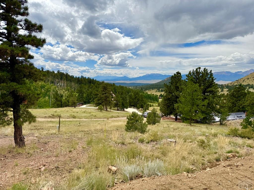 741 Junkins Loop - Photo 4
