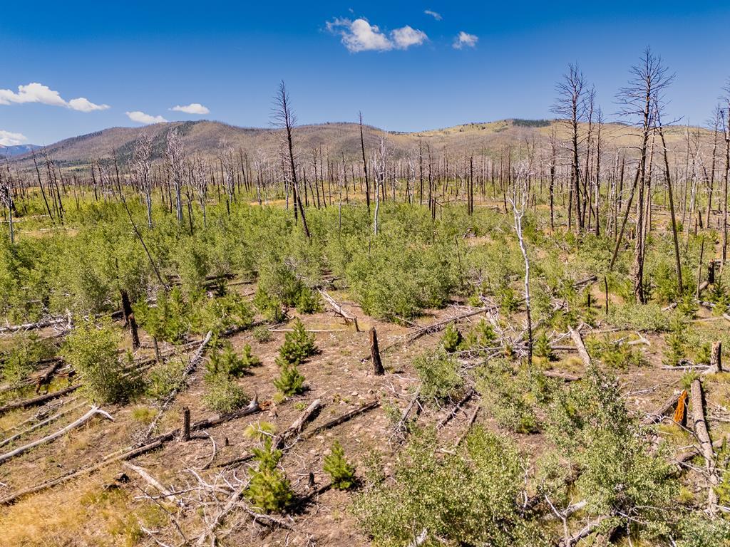 Photo 1 of 5 — Lot 1596 Douglas Lane, Fort Garland, CO 81133