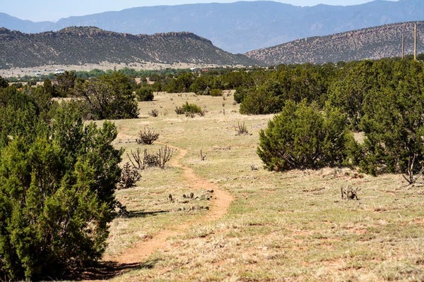 1 COUNTY RD 132, PENROSE, CO 81240 - Image 3b91d13d8e8b99f1feb4095a7d15f3ee/1323018574
