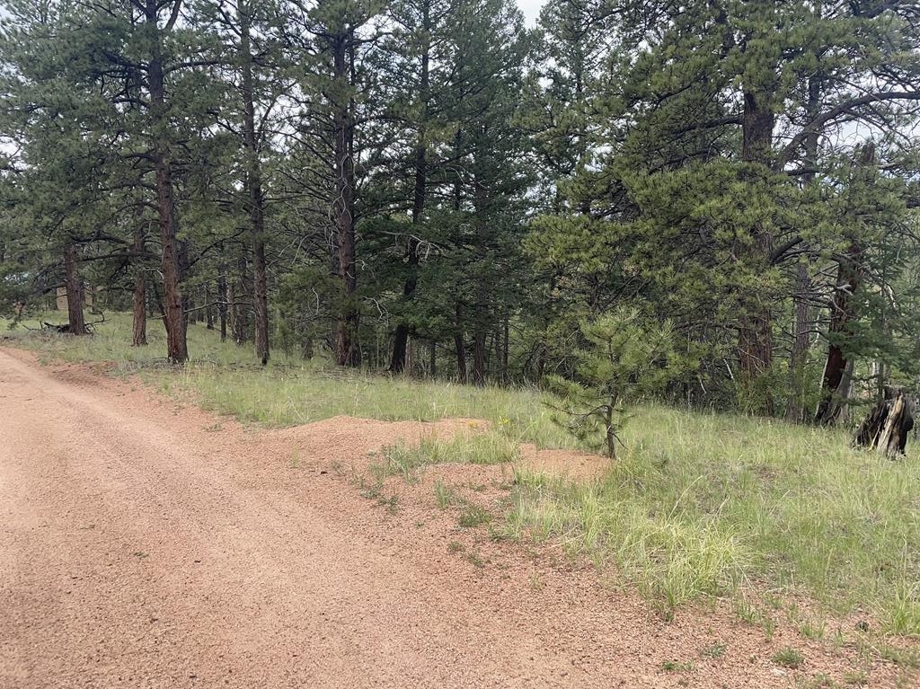 Photo 1 of 7 — 452 Wilson St, Cripple Creek, CO 80813