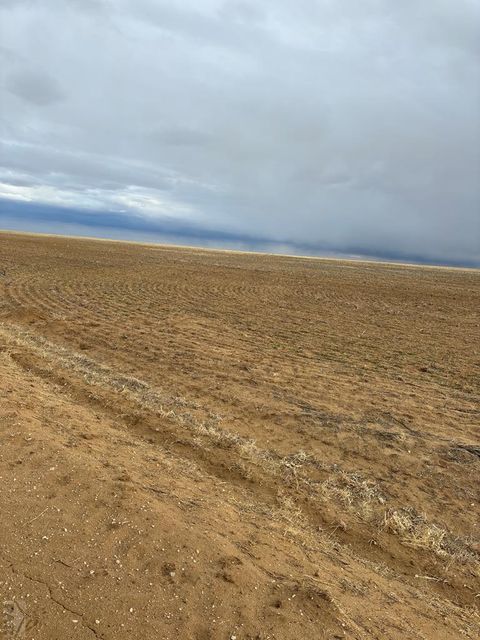 TBD 0, Haswell, CO 81045 - MLS#: 219926