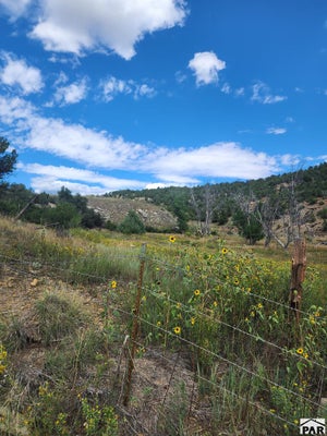 TBD HWY 12, TRINIDAD, CO 81082 - Image 59a9df38f7fb6cdc6e0818d4e37e0ef5/815068729
