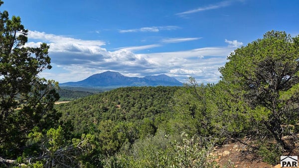 PINE ST, WALSENBURG, CO 81089 - Image 7104e73d1f5bb1e59171fccafd9d217e/88034656