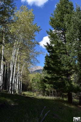 19560 COUNTY ROAD 54.2, AGUILAR, CO 81020 - Image 8b268d7e8cf4c378481ca59aa04d70d2/1110842645