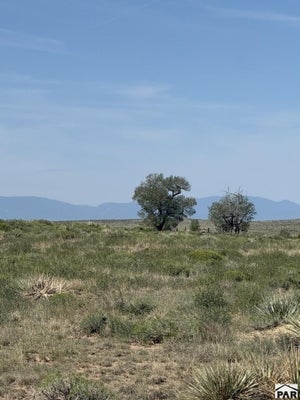 60000 HUCKLEBERRY RD, BOONE, CO 81025 - Image 91e1cda1baff3cb6c9e2d5790886a28a/1901934366