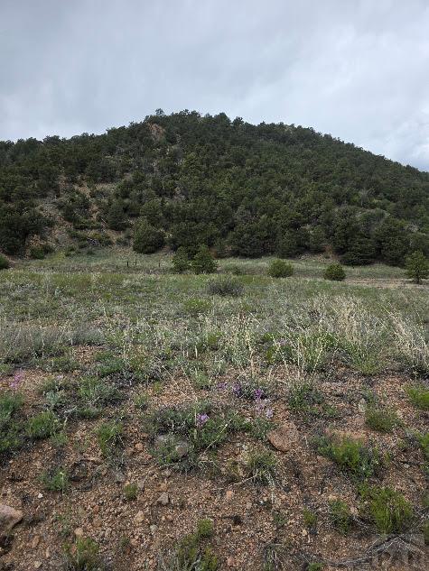 Photo 1 of 10 — 8099 County Rd 28, Cotopaxi, CO 81223