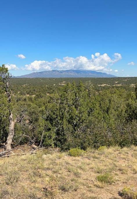Photo 1 of 5 — LOT 463 Rio Cucharas, Walsenburg, CO 81089