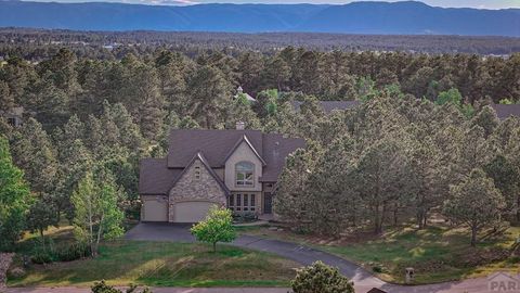 Single Family Residence in Colorado Springs CO 18320 Bakers Farm Rd 51.jpg