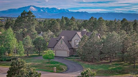 Single Family Residence in Colorado Springs CO 18320 Bakers Farm Rd 48.jpg