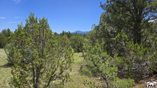 COLORADO DR, TRINIDAD, CO 81082 - Image bc58876cb60811d990fa940bc9d3ecaa/311729016