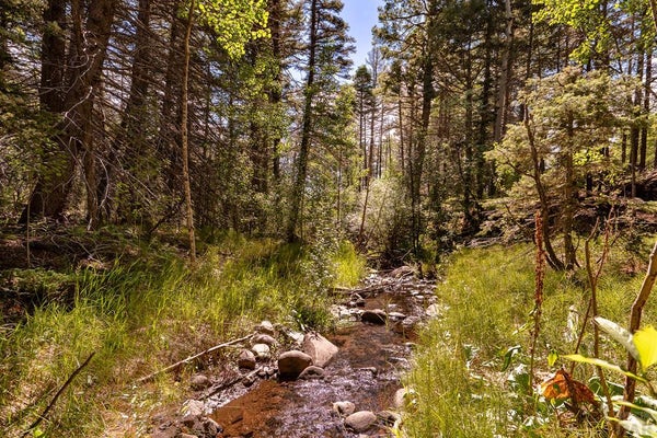 000 COUNTY RD 46, AGUILAR, CO 81020 - Image c684745d997d386dacb78fb4dbf2ecd2/449063694