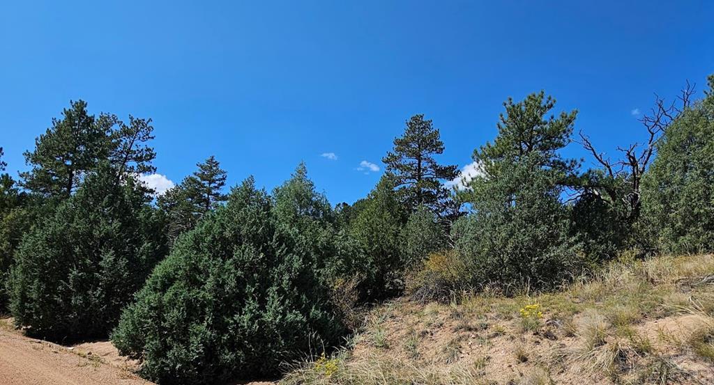 Photo 1 of 10 — 73 Alpine Way, Cotopaxi, CO 81223