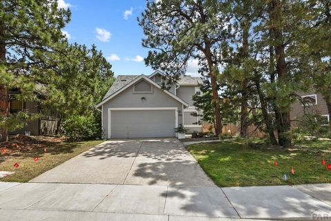 Single Family Residence in Colorado Springs CO 1915 Spring Crest Rd.jpg