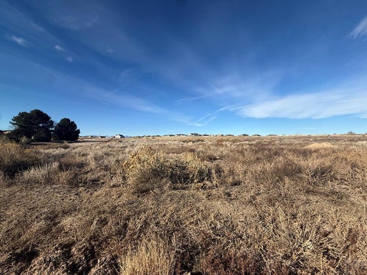 1009 S GLENBROOK DR, PUEBLO WEST, CO 81007 - Image ef53e4dbaddd0f6d69ecd3abbbcb83d4/1929429022