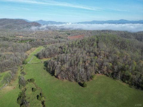 Tiny photo for 1378 Cove Creek Farm Rd Rd, Coleman Falls, VA 24536 (MLS # 365610)