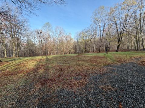 Tiny photo for 1378 Cove Creek Farm Rd Rd, Coleman Falls, VA 24536 (MLS # 365610)